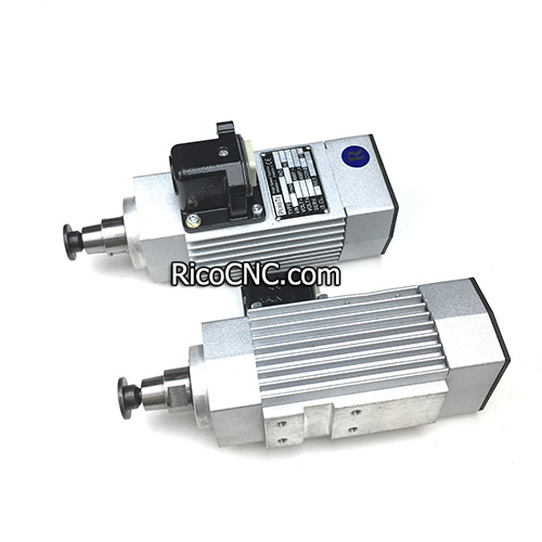 AC motor for a TYP trimmer.jpg