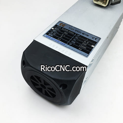 4075011042 Homag AC motor.jpg