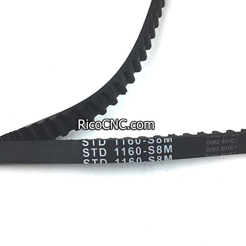 Toothed belt STD 1160-S8M-12.jpg
