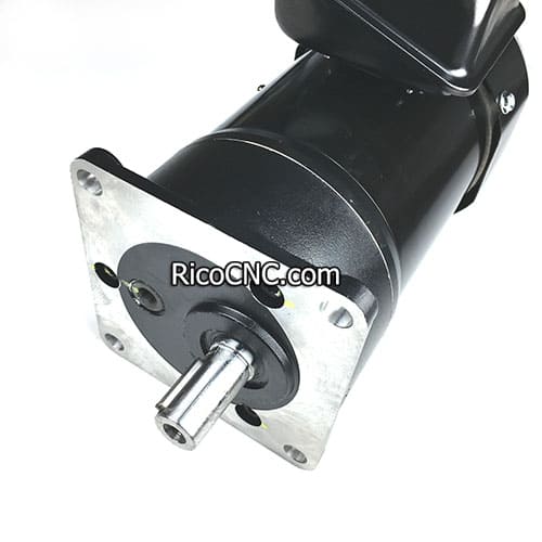 Gearmotor with speed reducer.jpg