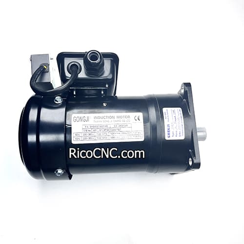 SHSM02182Z1H5 motor.jpg