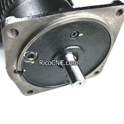 SIMEX brake motor.jpg