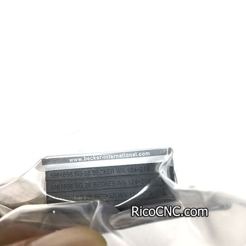 Becker vacuum pump vanes.jpg