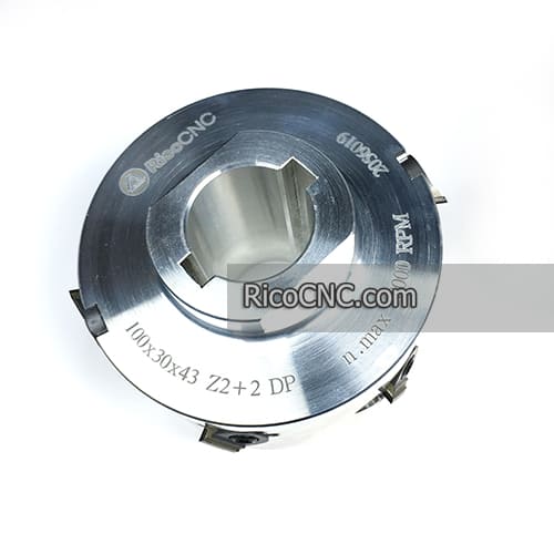 Diamond jointing cutter with replaceable knives.jpg