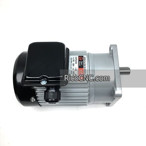 LUSON Gear Motor.jpg