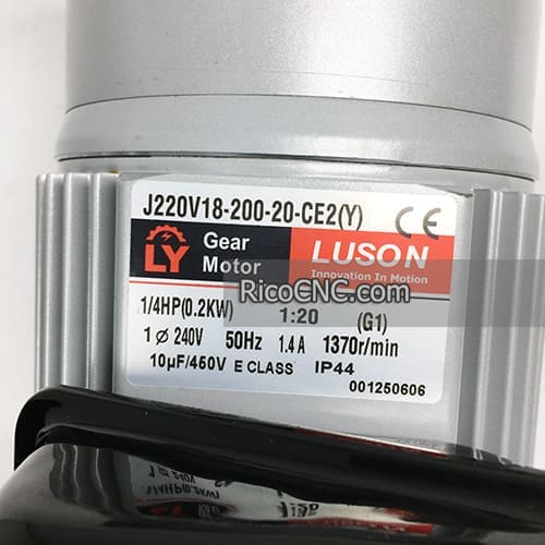 220V gear motor.jpg