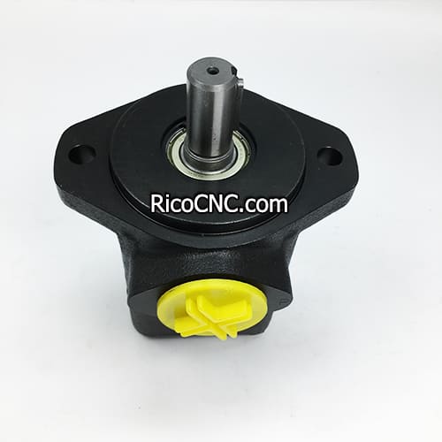 V10 1P1P 1A20 vane pump.jpg