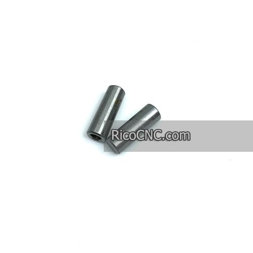 P57210032.jpg P57210032.jpg