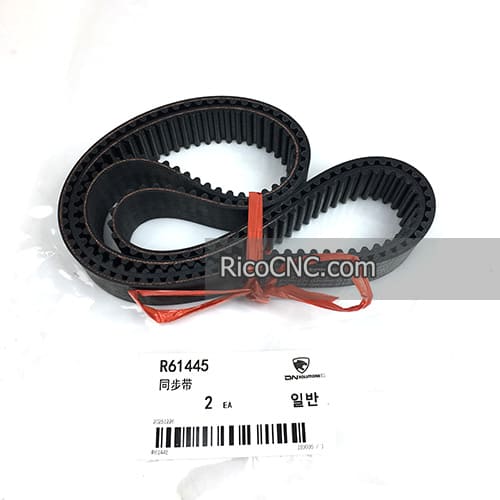 R61445 Belt.jpg R61445 Belt.jpg