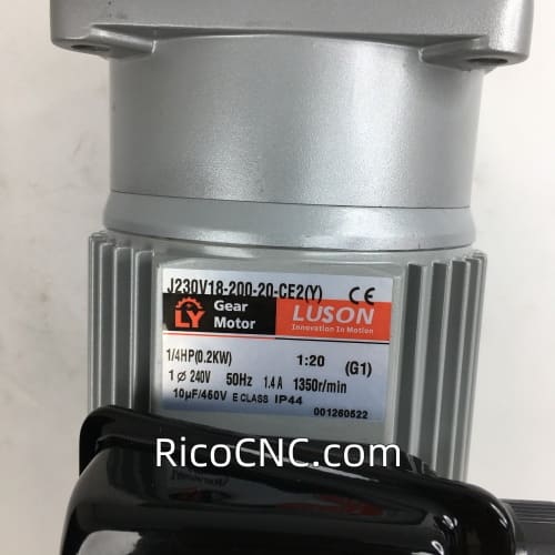 J230V18-200-20-CE2(Y)Luson Gear Motor.jpg