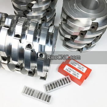 Heavy Duty Spiral Interchangeable Heads for WEINIG Molding Machine