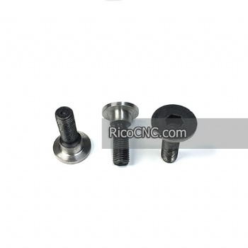 HOMAG 3013198011 3-013-19-8011 Screw HSK 25 R M10X1.25