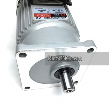 Motorreductor LUSON J220V18-200-20-CE2(Y)