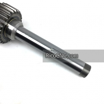 DOOSAN 130424-00089 C12051303A Engranaje recto para máquina DN