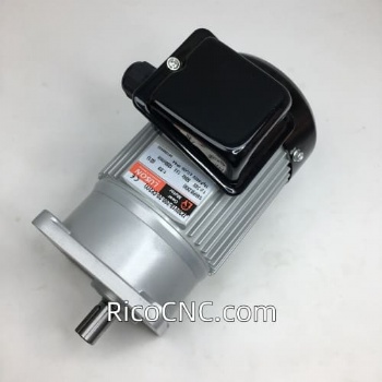 J230V18-200-20-CE2(Y)Luson Gear Motor